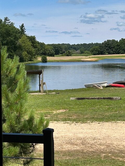 View from Timber Wolf Park Model